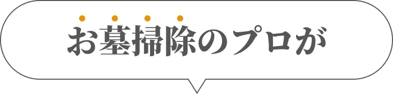 お墓掃除のプロが